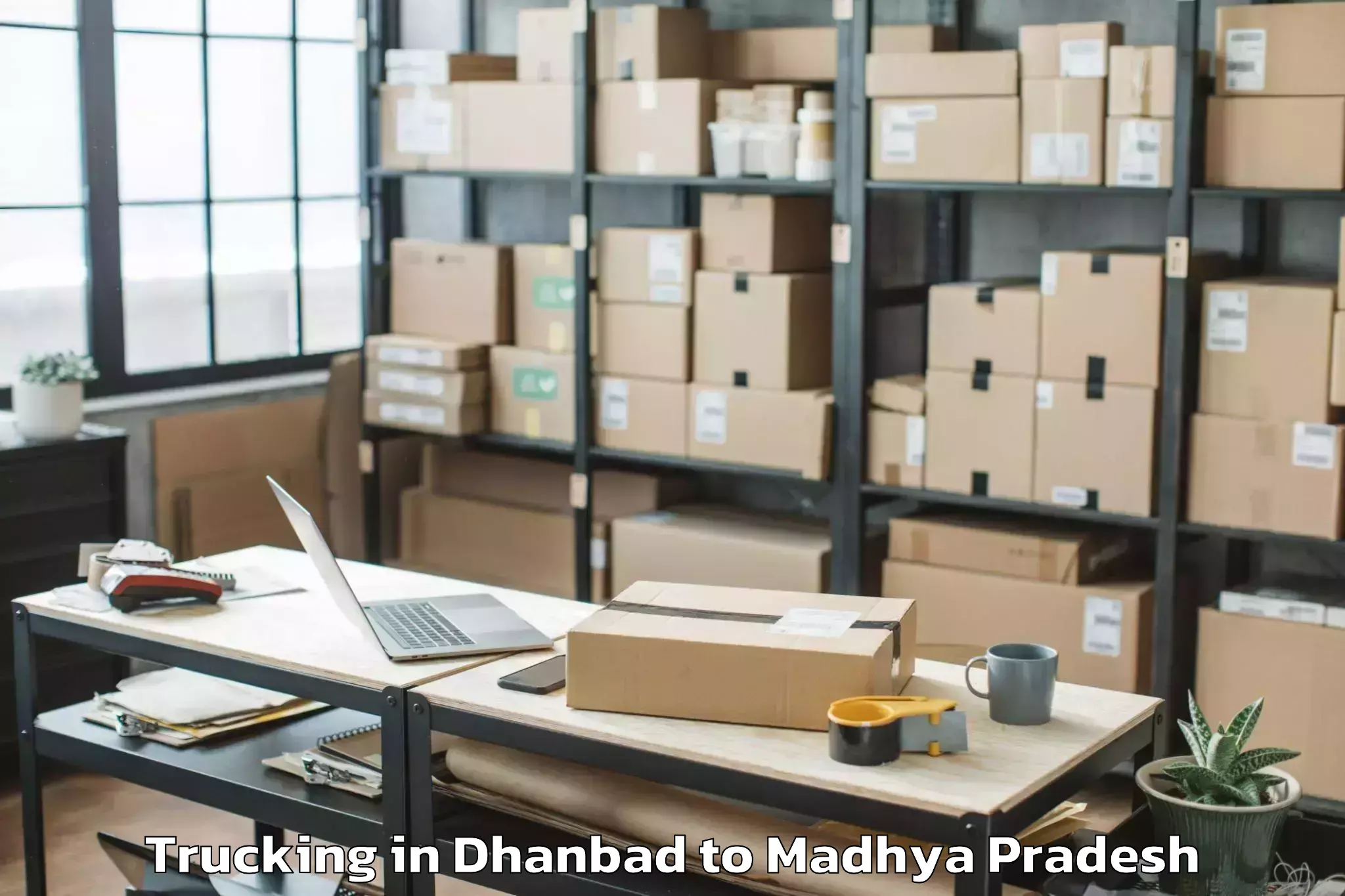 Top Dhanbad to Gyaraspur Trucking Available